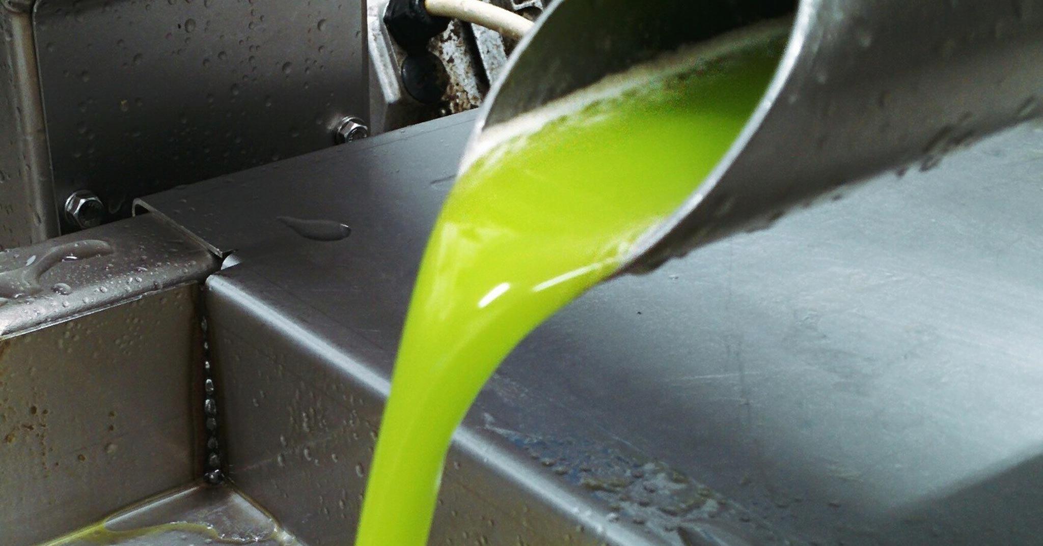 olio-extravergine-oliva-migliore